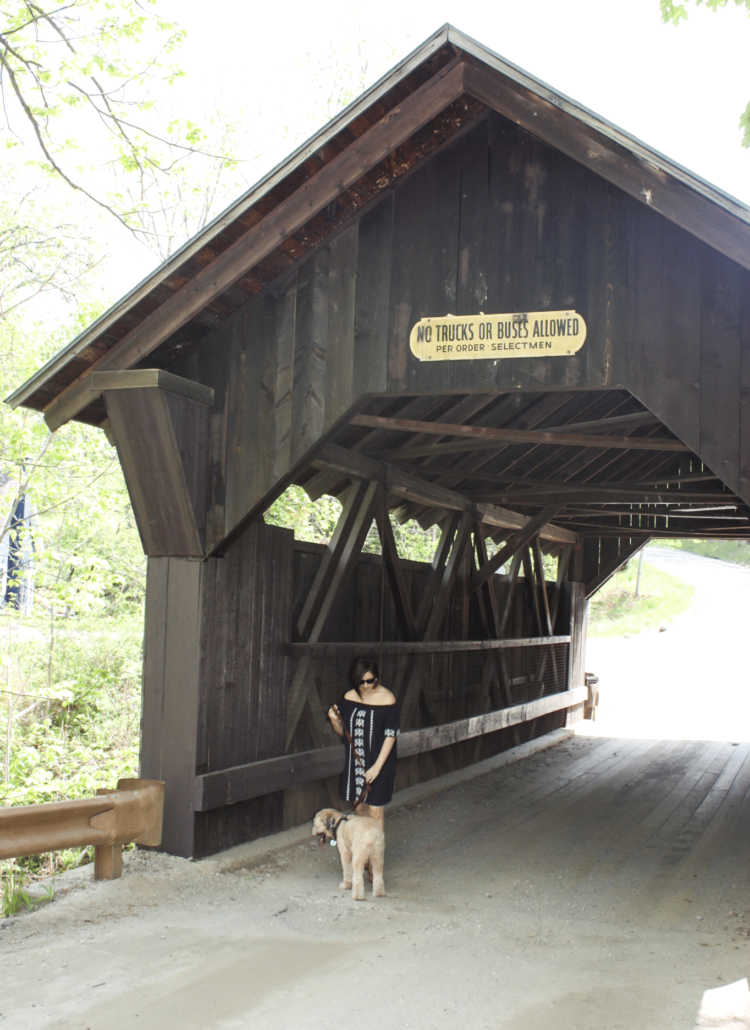 Vermont Road Trip