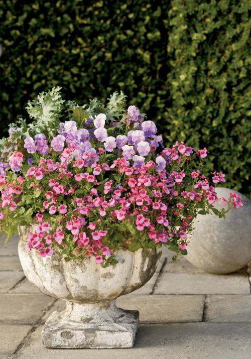 20 Beautiful Porch Planter Ideas - MW Designs