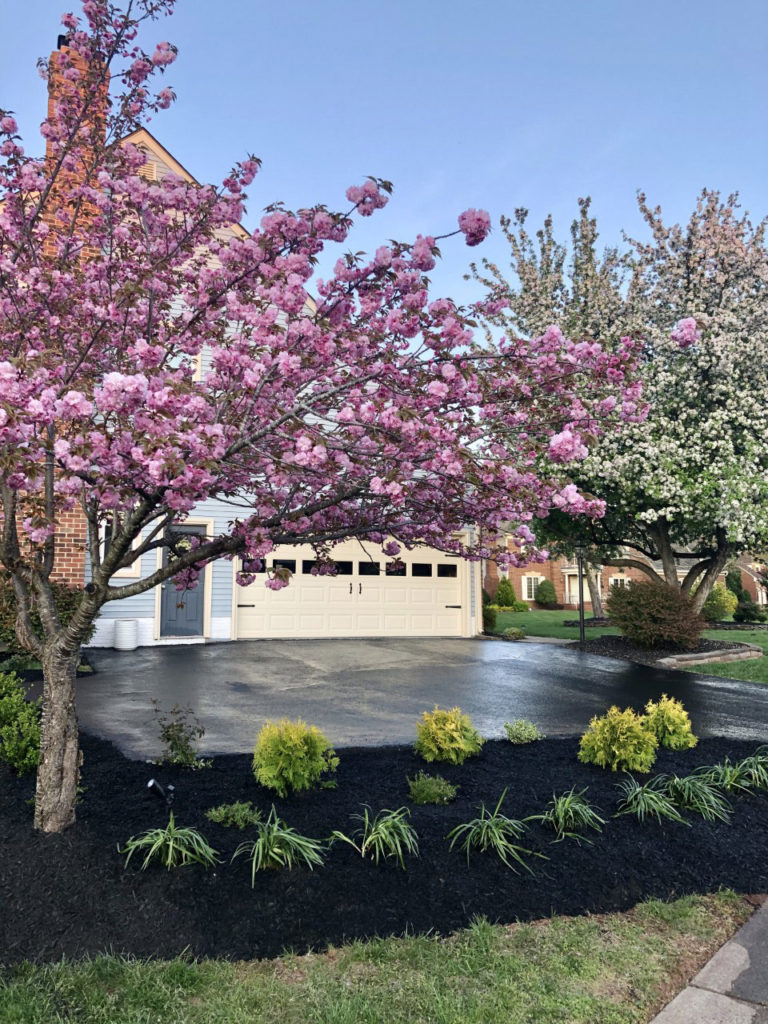 Adding Curb Appeal - MW Designs